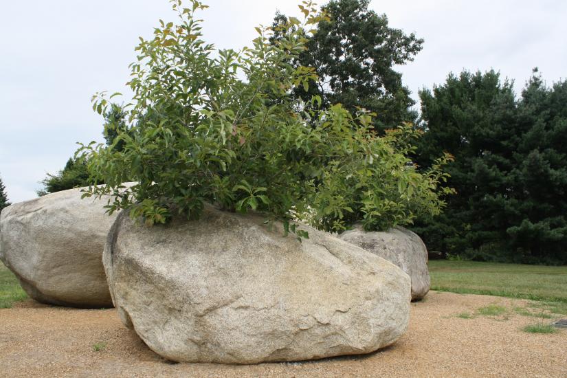 Goldsworthy Holocaust Memorial