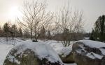 Goldsworthy Holocaust Memorial in winter