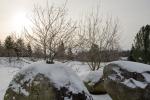 Goldsworthy Holocaust Memorial in winter