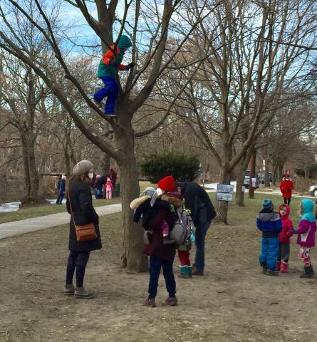 Climbing the tree