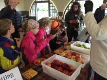 Tasting Apples